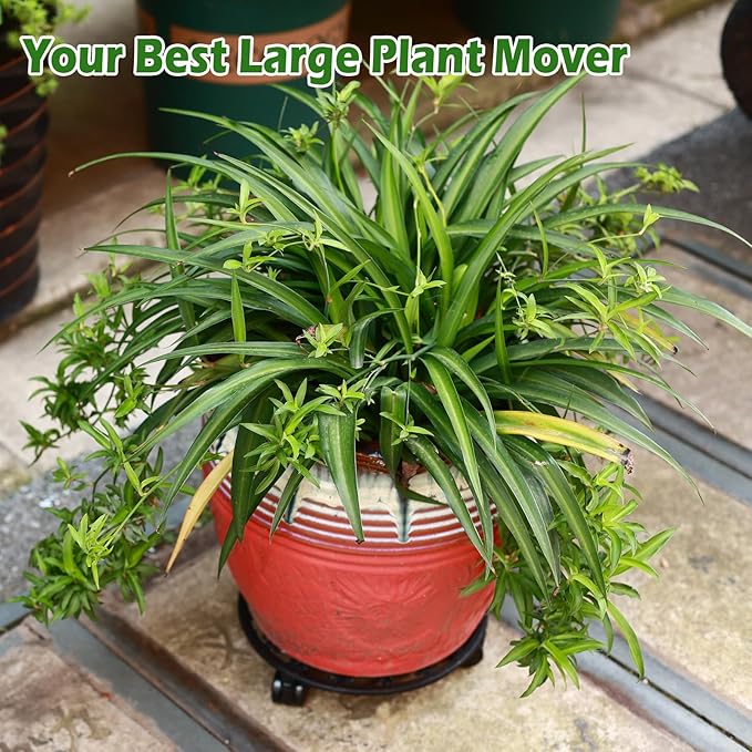 3 Packs 11 Inch Rolling Plant Stand with Wheels Wrought Iron Rolling Plant Stand with Casters Heavy Duty for Indoor Plants Rollers with Wheels Metal Round Plant Dolly