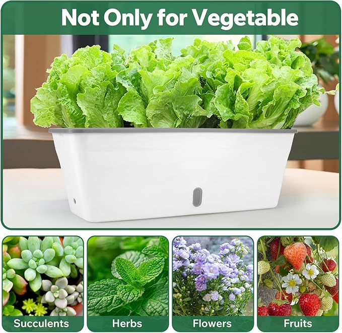 Self Watering Pots for Indoor Plants Outdoor, Rectangular Planter Window box 16.5 Inch 2 Pack, Water Level Window Prevents Overwatering for Herbs Strawberry Succulents Vegetable Basil Flower Garden