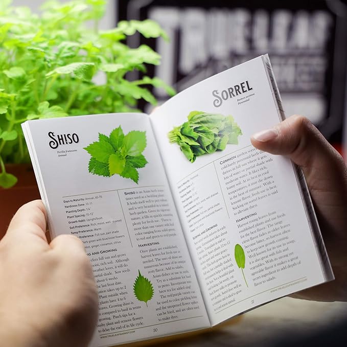 10 Varieties, Herbs de Provence Herb Seed Collection - French Culinary Herb Seeds - Non-GMO Heirloom Seeds by Sustainable Seed Company (Collection Only)