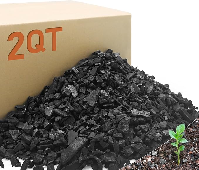 2 Quarts Horticultural Charcoal for Plants-Plant Charcoal Soil Amendment for Potting Soil Indoor Plants, Succulent Soil, Paphiopedilum, Bonsai, Terrarium,and Gardening