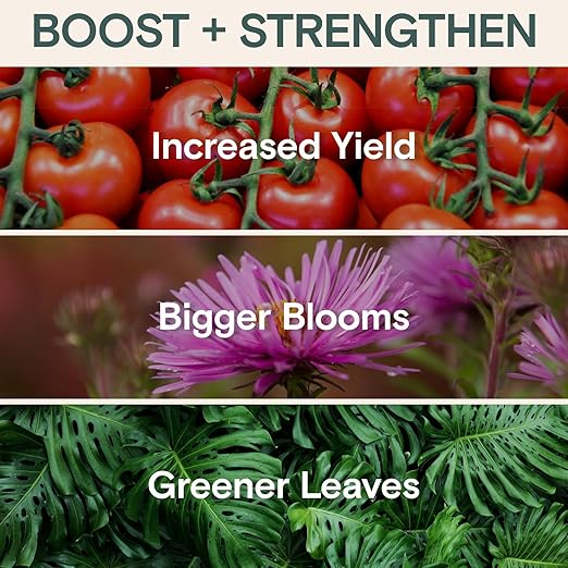 Arber Bio Protectant | Organic Outdoor Plant Fungicide and Root Stimulate Liquid Concentrate | Natural Bloom Boosting Growth Gardening Solution | Control Mildew, Mold, Spots | Make Over 16 Gallons