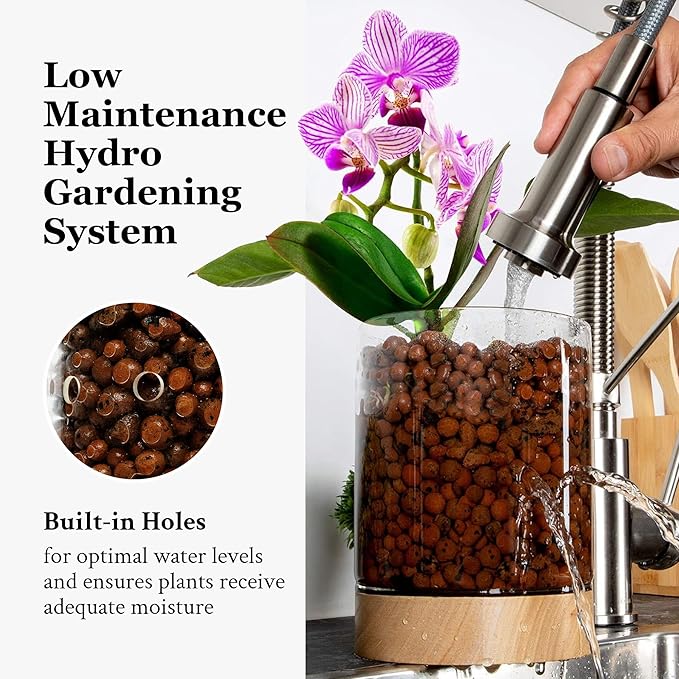 Pot & Pebble - C3 Glass Planter with Wooden Base - Indoor Glass Planter with Water Level Control Holes - Grow Plants in LECA Clay Pebbles
