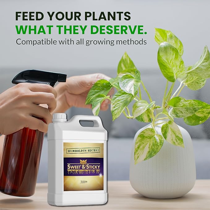 Humboldts Secret Sweet & Sticky Carbohydrate and Saccharide Plant Energy Additive | Indoor and Outdoor Plant Nutrients Enhancer for Growth and Aroma | Boosts Flavor and Development | 2.5 Gallon