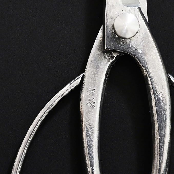 Wazakura Stainless Steel Series Traditional Bonsai Scissors, Made in Japan 7 in (180 mm), Hasami Pruning Shears, Professional Garden Tools (Traditional Stainless Steel)
