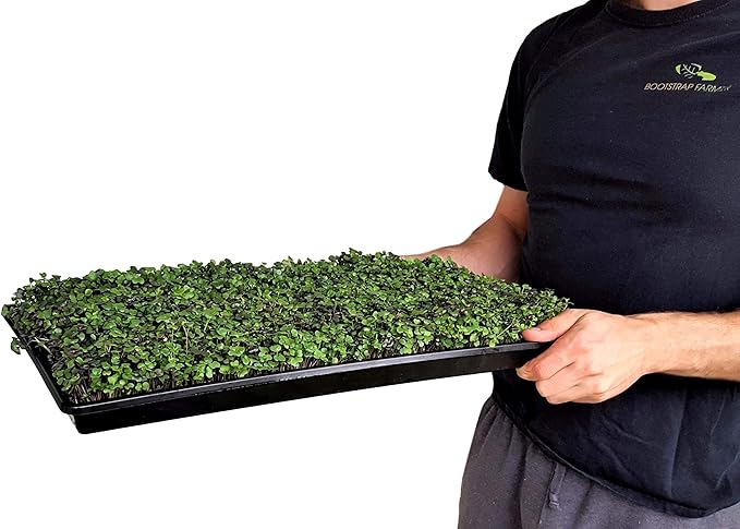 Bootstrap Farmer Microgreen Trays No Holes, 5 Pack White, Extra Strength Shallow 1020 Tray Grow Microgreens Wheatgrass Fodder Sprouting Plants