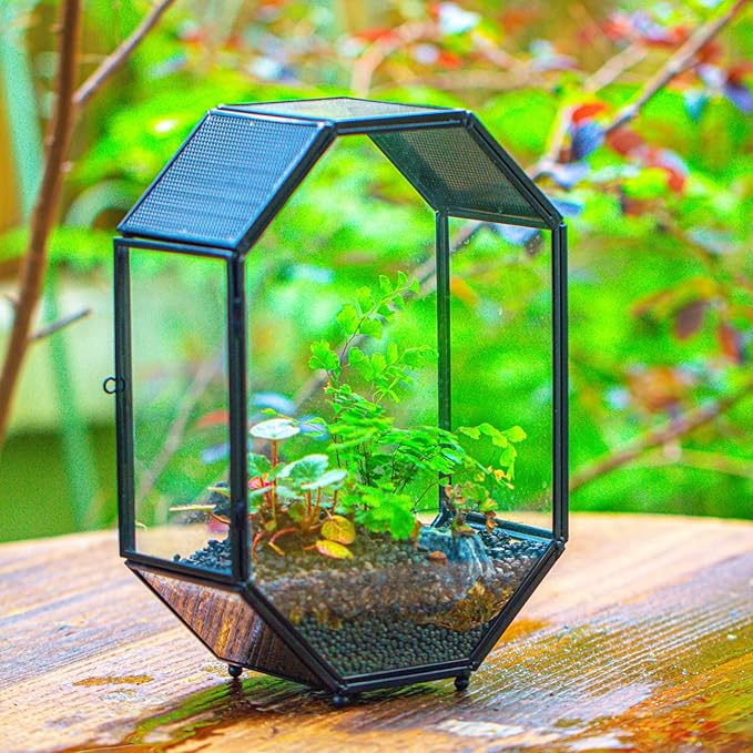 NCYP Glass Enclosure Terrarium with Mesh and Door for Jumping Spiders, Insects - Octagon Shape Small Succulents Terrarium 6.2 x 3.1 x 8.7 inches, Black Tabletop Decor (Plants Not Include)