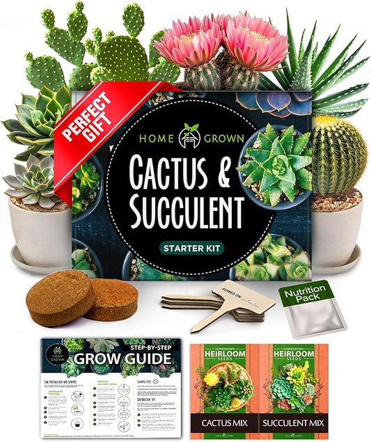 HOME GROWN Succulent & Cactus Seed Kit for Planting – [Enthusiasts Favorites] Premium Cactus & Succulent Starter Kit: 4 Planters, Drip Trays, Markers, Seeds Mix, Soil - DIY Gift Kits