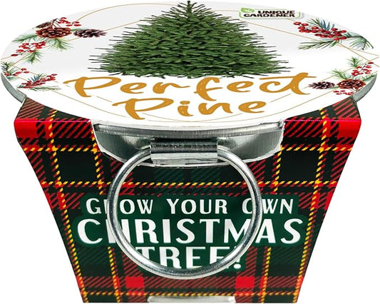 Grow Your Own Christmas Tree Plant Seeds 3-Pack, DIY Indoor Succulents and Live Plants for Home or Garden Planting, Perfect Pine