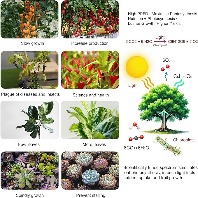 Desktop LED Grow Lights for Indoor Plants, Full Spectrum with UV&IR,bloom veg Modes Remote Control 20" Height Adjustable Stand Hanging Hook for Hydroponics Bonsai Seedlings dimmable Timer Function