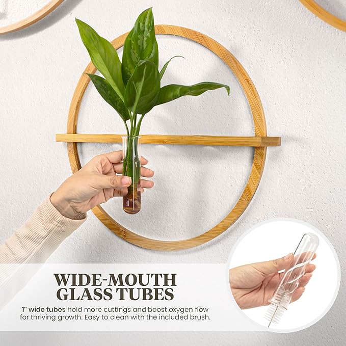 Plant Propagation Stations - Set of 3 Bamboo Wall Planters for Indoor Plants with 5 Glass Plant Propagation Tubes | Propagation Vases for Plants | Aesthetic Plant Wall Decor