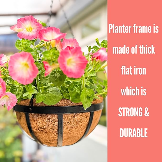 LaLaGreen Outdoor Hanging Baskets for Plants (6 Pack, 16 Inch) Large Hanging Planter with Coco Liner, Black Plant Metal Flat Iron Round Flower Pots Deck Patio Modern Garden Balcony Outside Decoration