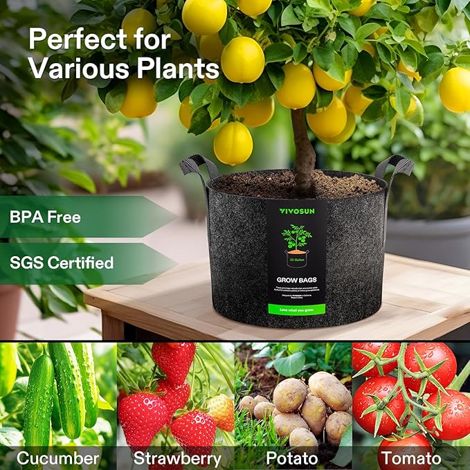 VIVOSUN 10-Pack 30 Gallon Grow Bags, Reinforced Planter Fabric Pots for Gardening Black
