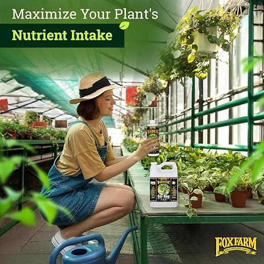 FoxFarm BushDoctor Cal-Mag - Liquid Calcium & Magnesium Supplement, Prevents Blossom End Rot & Tip Burn - Formula with 3% Calcium, 0.9% Magnesium for Gardening- NPK 1-0-0 (Pint)