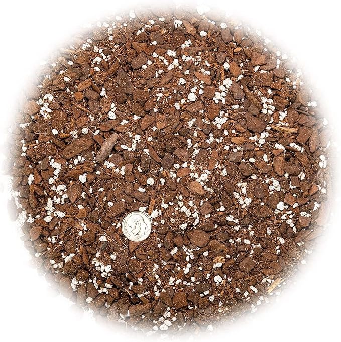 GARDENERA Monstera Obliqua Soil Blend - Customized for Unique Plant Needs by Gardenera - 4 Quart