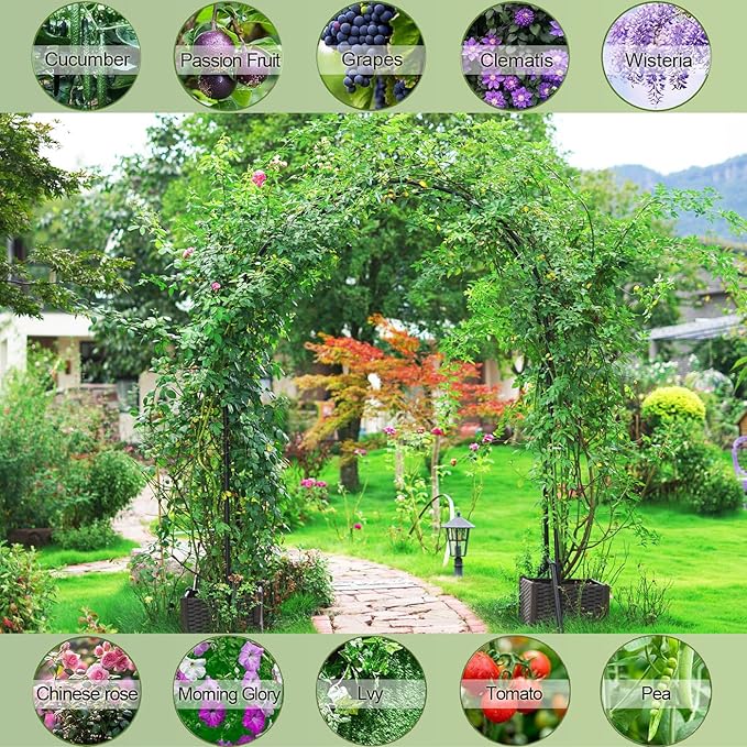 Garden Arbor Arch,Rustproof & Easy Assembly Metal Trellis,7.9 Feet H x4 Feet W,Metal+PE Coated Archway for Climbing Plants，Outdoor Rose Support, Wedding Decor, Bridal Party Decoration