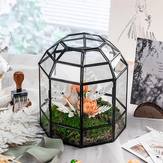 NCYP Geometric Glass Terrarium Dome for Succulent Cacti Air Plants, 6.6x6.6x8 Inches Closed Birdcage Planter Pot, Indoor Miniature Fairy Garden Display Container, Black, Handmade (Only Terrarium)