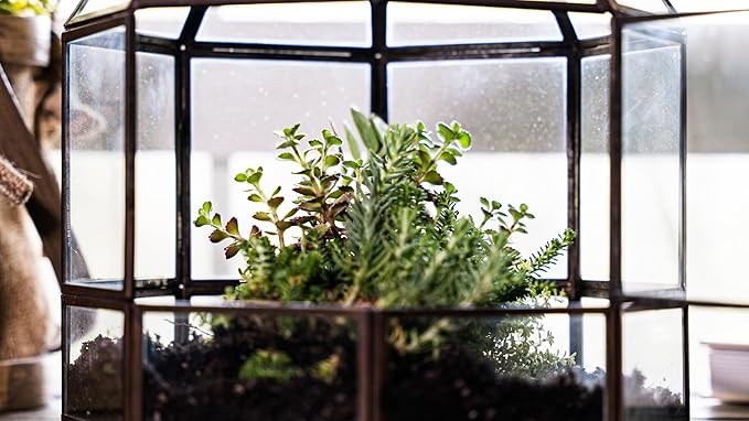 Urban Born Handmade Birdcage Style Glass Terrarium in Bronze — 10" x 9" x 9"