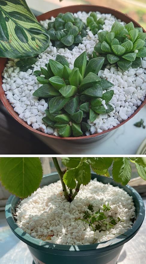 50QT Organic Perlite Horticultural Soil Amendment for Plants and Enhanced Drainage Enhanced