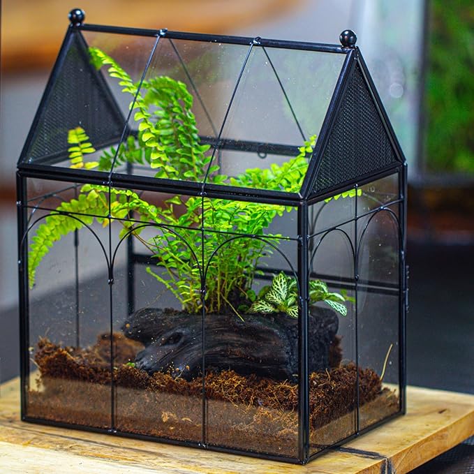 NCYP Glass Enclosure with Vent Holes for Insect, Jumping Spiders - 7.5" x 4.9" x 9" Small Closed Front Opening Door Succulent Terrarium - House Shape Habitat, Home Decor Black (No Plants)