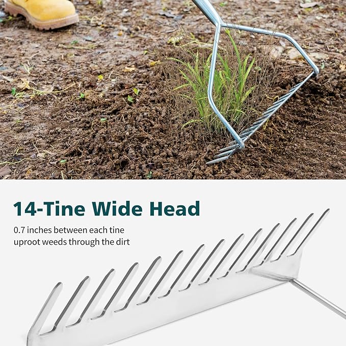Berry&Bird 14 Tines Bow Rake for Gardening, 63-inch Garden Rakes Heavy Duty with Wooden Long Handle Stainless Steel Hard Rake for Lawn Loosening Soil, Weeding, Cleaning Leaves & Grass Cultivator Tool