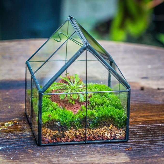 NCYP Mini Glass Geometric Terrarium with Lid - 4.25" x 4.25" x 4.92" Small House Shape Close Planter Pot for Succulents Plant - Handmade, Home Garden Office Tabletop Decor, Black (Terrarium Only)