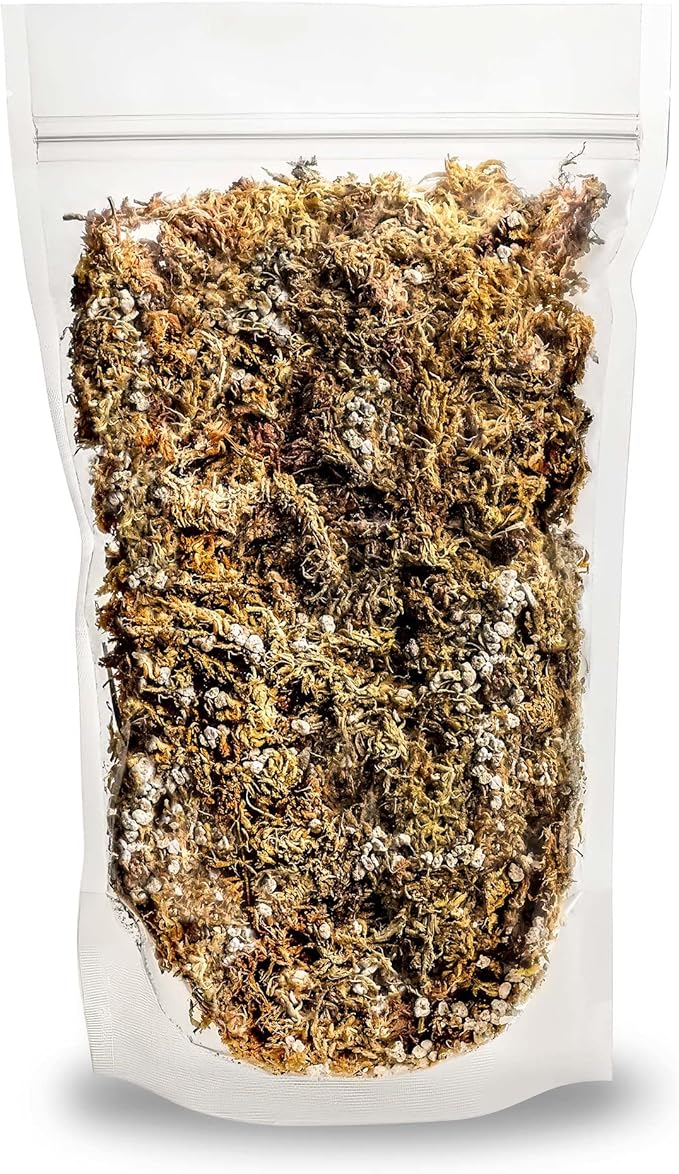 Gardenera Premium Orchid Mix by GARDENERA - 10 Quart - Fern + New Zealand Pine Bark + Sphagnum Moss + Perlite | Best for Growing and Repotting Orchids (2 Bags of 5 QT)