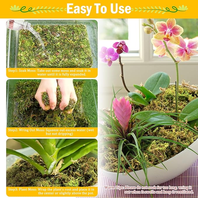 Riare 1.3LBS Premium Sphagnum Moss for Plants- 25QT Natural Dried Plant Moss for Potted Plants, Orchid Moss for Repotting, Soft Green Decorative Moss for Succulents, Reptiles & DIY Crafts