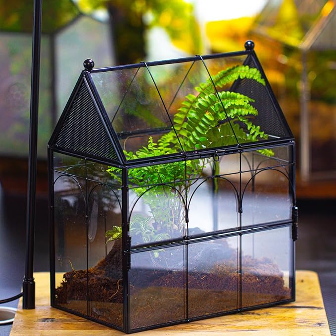 NCYP Glass Enclosure with Vent Holes for Insect, Jumping Spiders - 7.5" x 4.9" x 9" Small Closed Front Opening Door Succulent Terrarium - House Shape Habitat, Home Decor Black (No Plants)