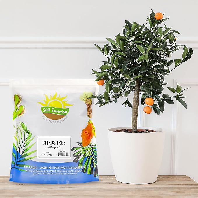 Soil Sunrise Citrus Tree Potting Soil Mix (8 Quarts) Special Blend for Indoor Oranges, Lemons, Limes and More