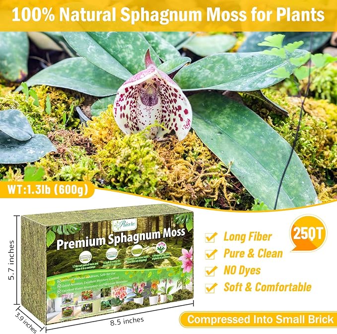 Riare 1.3LBS Premium Sphagnum Moss for Plants- 25QT Natural Dried Plant Moss for Potted Plants, Orchid Moss for Repotting, Soft Green Decorative Moss for Succulents, Reptiles & DIY Crafts