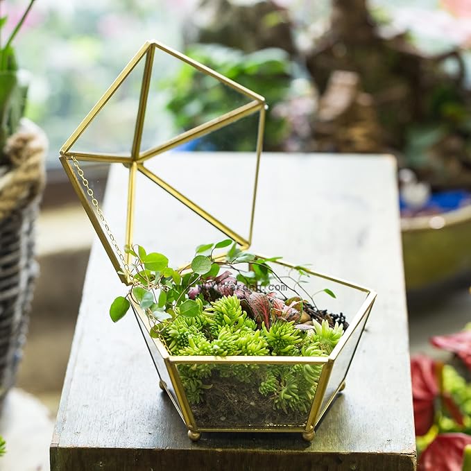 NCYP Small Geometric Vintage Glass Jewelry Box, Gold Succelent Plants Terrarium with Swing Lid, Pentagon Shape Clear Metal Brass Display Planter for Wedding Decoration (No Plants, Terrarium Only)