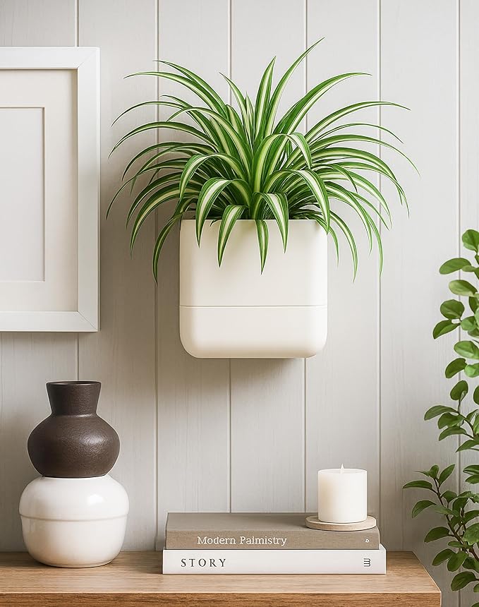 Phoenix Vine 6.5-Inch Wall Mounted Self-Watering Planter Pot for Indoor Houseplants and Herbs | Hanging Planter for Window Sills, Bathroom Walls, Home & Office Décor, Oatmeal, Set of 1, 01-WP-D-1