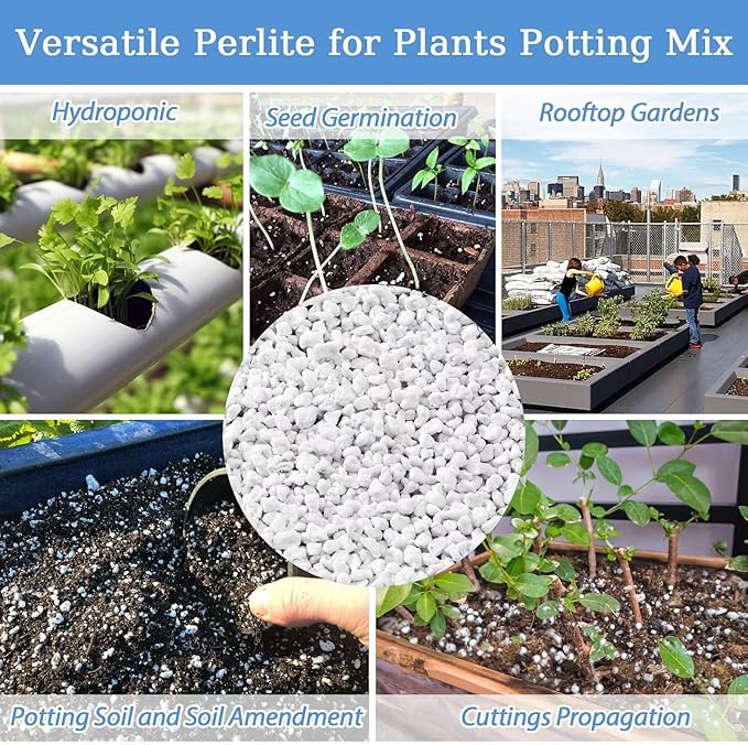 Riare 6 Quarts Organic Perlite for Plants - Horticultural Soil Amendment for Potting Mix, Natural Chunky Soil Additive Conditioner to Improve Root Growth, Drainage and Ventilation