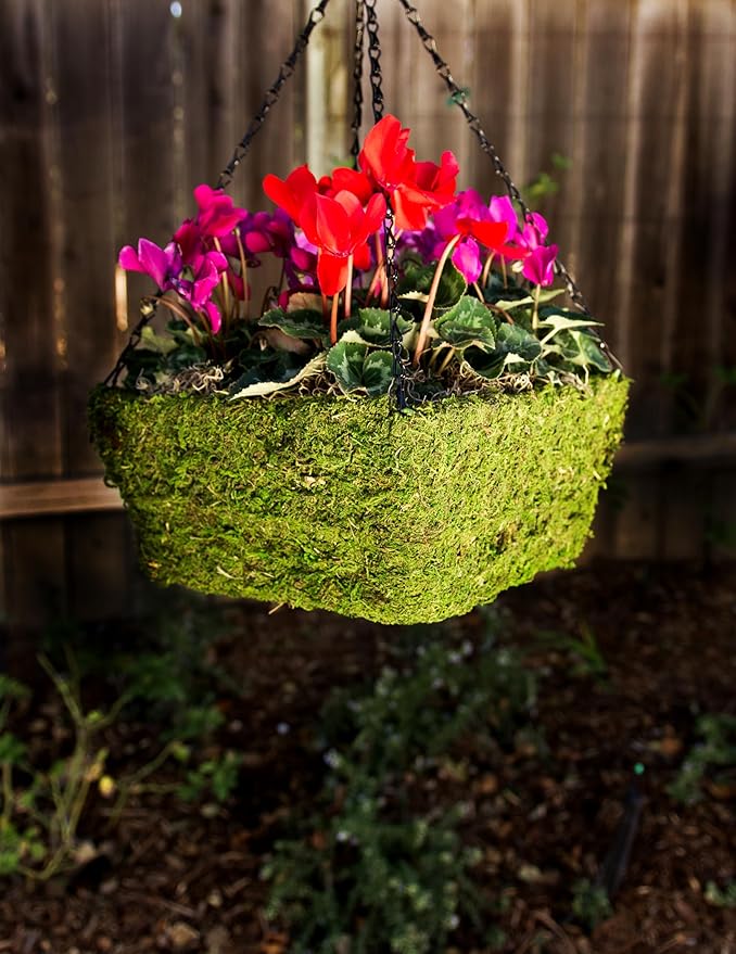 SuperMoss (29210) MossWeave Hanging Basket - Square, Fresh Green, Small (10.5 Diameter)"