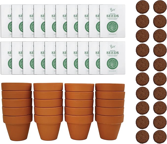 BUZZY Seeds Forget Me Not Flower Grow Kit Bulk 20pk Mini Terracotta Pots Gardening Starter Set, Wedding Favors, Shower Prizes, Garden Parties