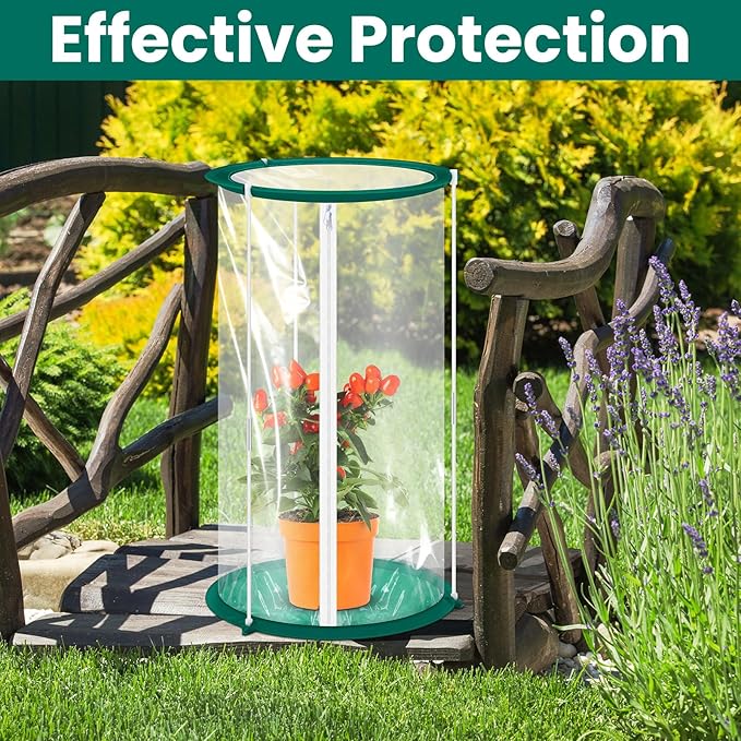 Nuanchu 4 Pieces Mini Greenhouse 19.7 x 10.2 Inch Portable Plant Flowers Mini Cover PVC Clear Greenhouse for Indoor Outdoor Gardening