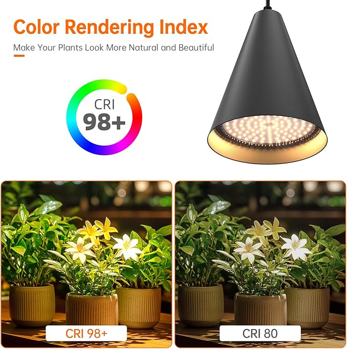 Bstrip 50W Double-Head Hanging Grow Lights for Indoor Plants, 3000K, Black LED Plant Light Bulbs with Timer and 16.4FT Power Cord, Perfect for Tall Plants, Gardens, Flowers, and Greenhouses