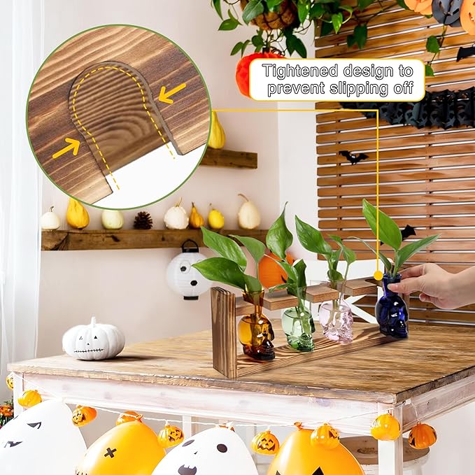 Plant Propagation Stations Halloween Skull Plant Terrarium Kit Glass Vases Gift for Father Air Planter Home Office Decor