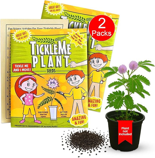 TickleMe Plant Seeds for Indoor Planting (2-Pack) – Unique Stocking Stuffer Idea | Leaves Close When Touched, Reopen in Minutes – Easy Indoor House Plant Seeds, Can Flower, Includes 10 Fun Activities