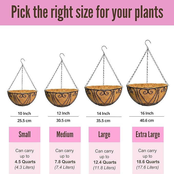 LaLaGreen Hanging Baskets for Plants (14 Inch, 6 Pack) Hanging Flower Pots with Coco Liner, Black Metal Wire Round Basket Plant Holder with Hanger Hook Chain, Outdoor Patio Deck Balcony Garden Decor