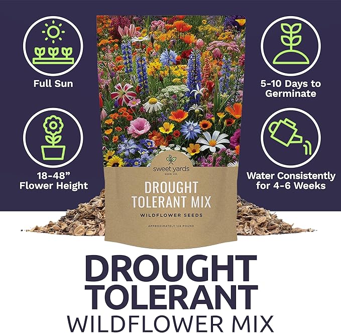 Drought Tolerant Wildflowers Mix – Bulk Quarter Pound Bag – Over 30,000 Open Pollinated Non-GMO Seeds – 21 Different Dryland Species