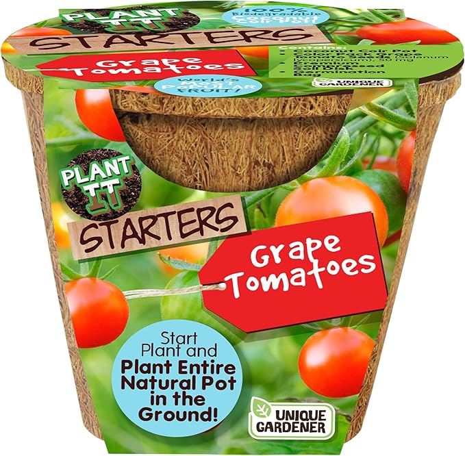 Plant-It Starters Plant Seeds 4-Pack, DIY Indoor Succulents and Live Plants for Home or Garden Planting, Grape Tomato