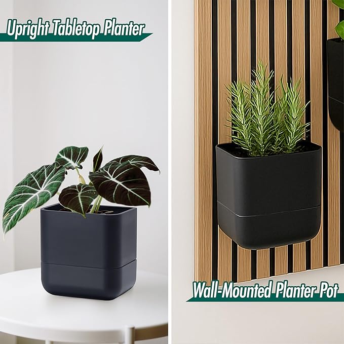 Phoenix Vine 6.5-Inch Wall Mounted Self-Watering Planter Pot for Indoor Houseplants and Herbs | Modern Hanging Planter for Window Sills, Bathroom Walls, Home & Office Décor, Black, Set of 3, 01-WP-B-3