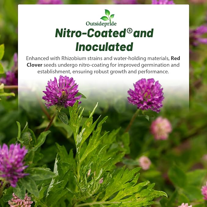 Outsidepride Perennial Red Clover Seeds - 10 lbs. Self-Seeding, Nitrocoated, Inoculated Clover Seeds for Lawn, Yard, Forage, Pasture, Hay, Nitrogen Fixation, Soil Improvement & Crop Rotation Programs
