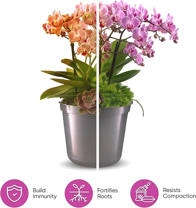 Molly's Orchid Potting Mix - Premium Gritty Soilless Orchid Mix - Chunky High Drainage vs Standard Potting Soil for Indoor Plants - Contains Bark, Coco Chips, Akadama, Pumice, Lava Rock 3 Dry Quarts