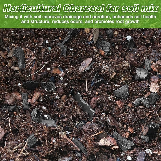29 Quarts Horticultural Charcoal for Indoor Plants-Hardwood Potting Soil Amendment for Orchids, Succulent, Cactus, Terrariums, and Gardening