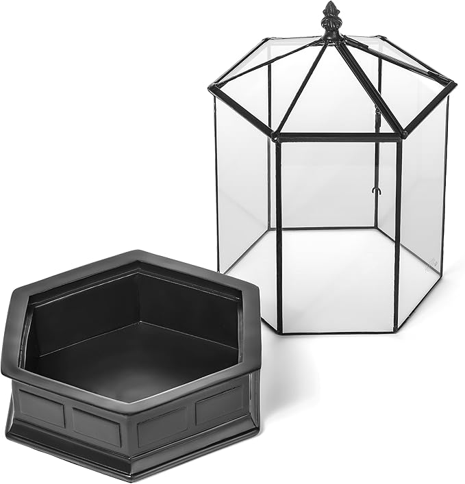 H Potter Glass Terrarium Succulent Planter Wardian Case Plant Container Six Sided WAR151