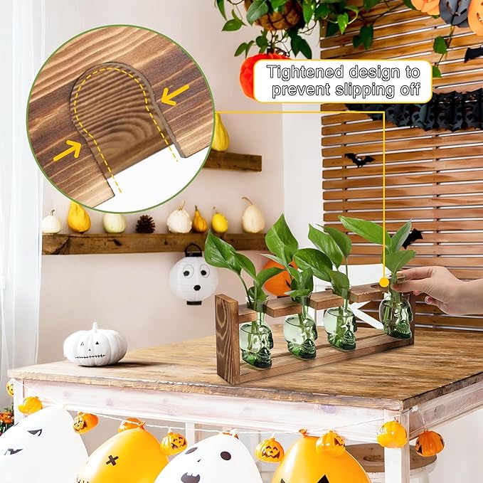 Plant Propagation Stations Halloween Skull Plant Terrarium Kit Glass Vases Gift for Father Air Planter Home Office Decor