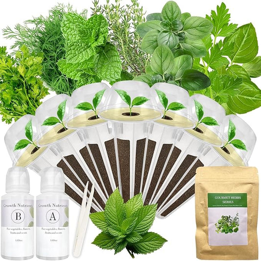 Gourmet Herb Seed Pod Kit for AeroGarden, idoo, Ahopegarden, MUFGA Hydroponics Garden with Basil, Parsley, Thyme, Mint, Cilantro, Dill, Oregano - Compatible with All Hydroponics (7-Pod)