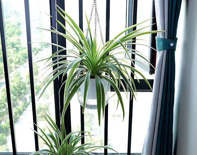 Meicynhoger 2-Pack Clear Self-Watering Hanging Planter for Spider Plant,Ivy,Orchids,Pothos - 6.5" Flower Pot with Hooks for Indoor Outdoor,Table, Balcony, Wall,Deck,Garden Transparent